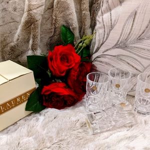 NWT Set of 4 Ralph Lauren Crystal Shot Glasses